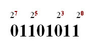 understanding Binary Numbers Explained – Beginners Guide